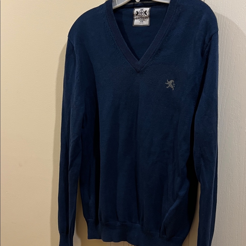 Express Deep Blue Express V-Neck Sweater for Men